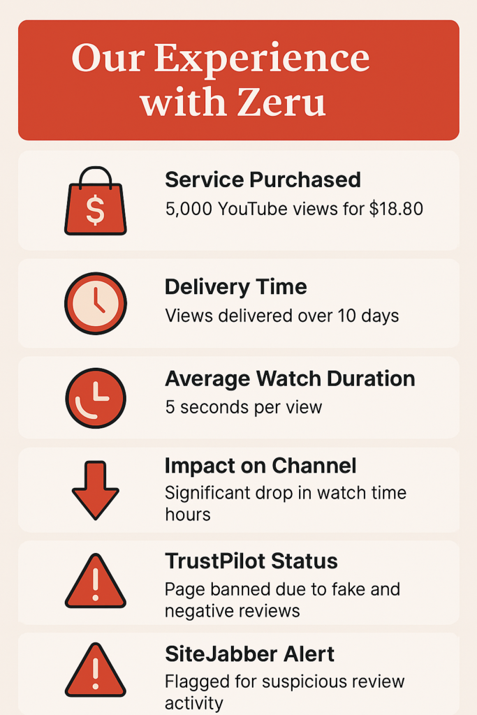 Infographic summarizing our experience with Zeru, including 5,000 YouTube views delivered over 10 days, 5-second average watch time, and major drop in watch time hours