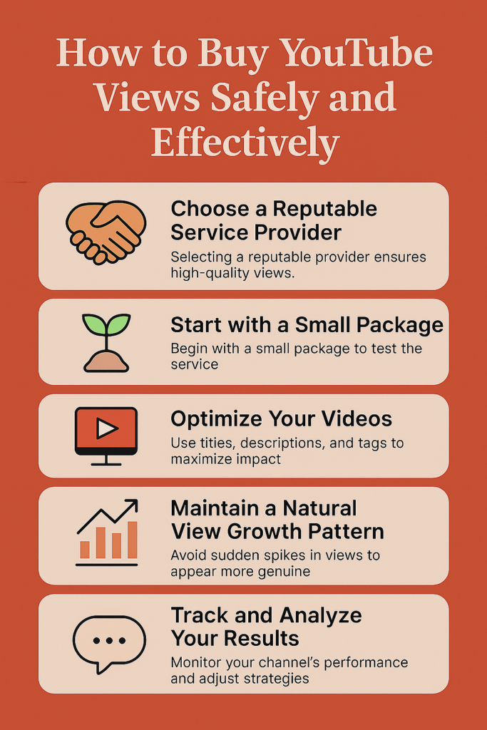 Infographic titled 'How to Buy YouTube Views Safely and Effectively' showing six best practices including choosing a provider, starting small, optimizing videos, natural growth, engaging with the audience, and tracking results