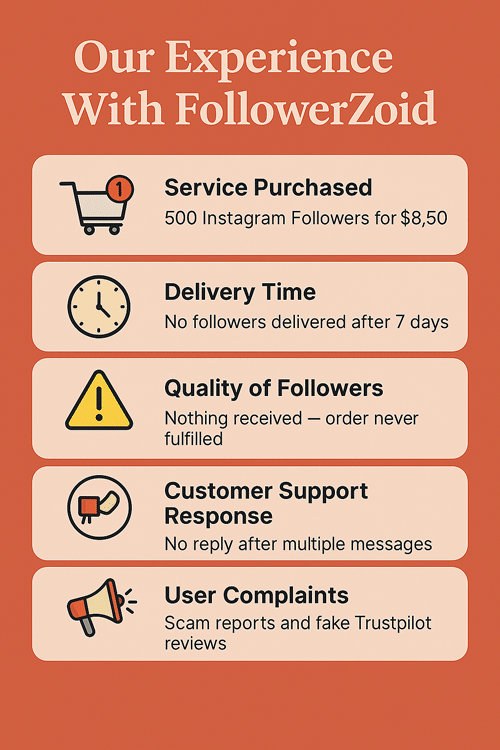 Our Experience With FollowerZoid Infographic